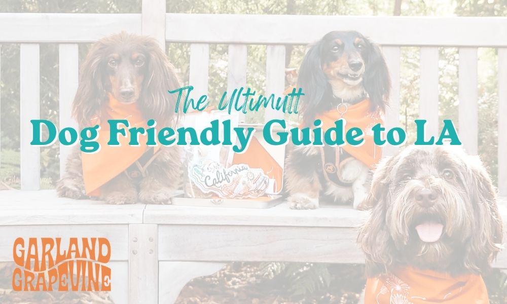 The Ultimutt Dog Friendly Guide to LA