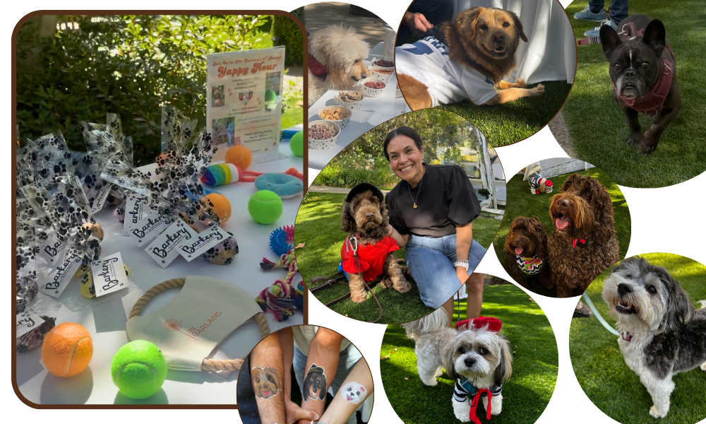 Dogs in Beverly Park